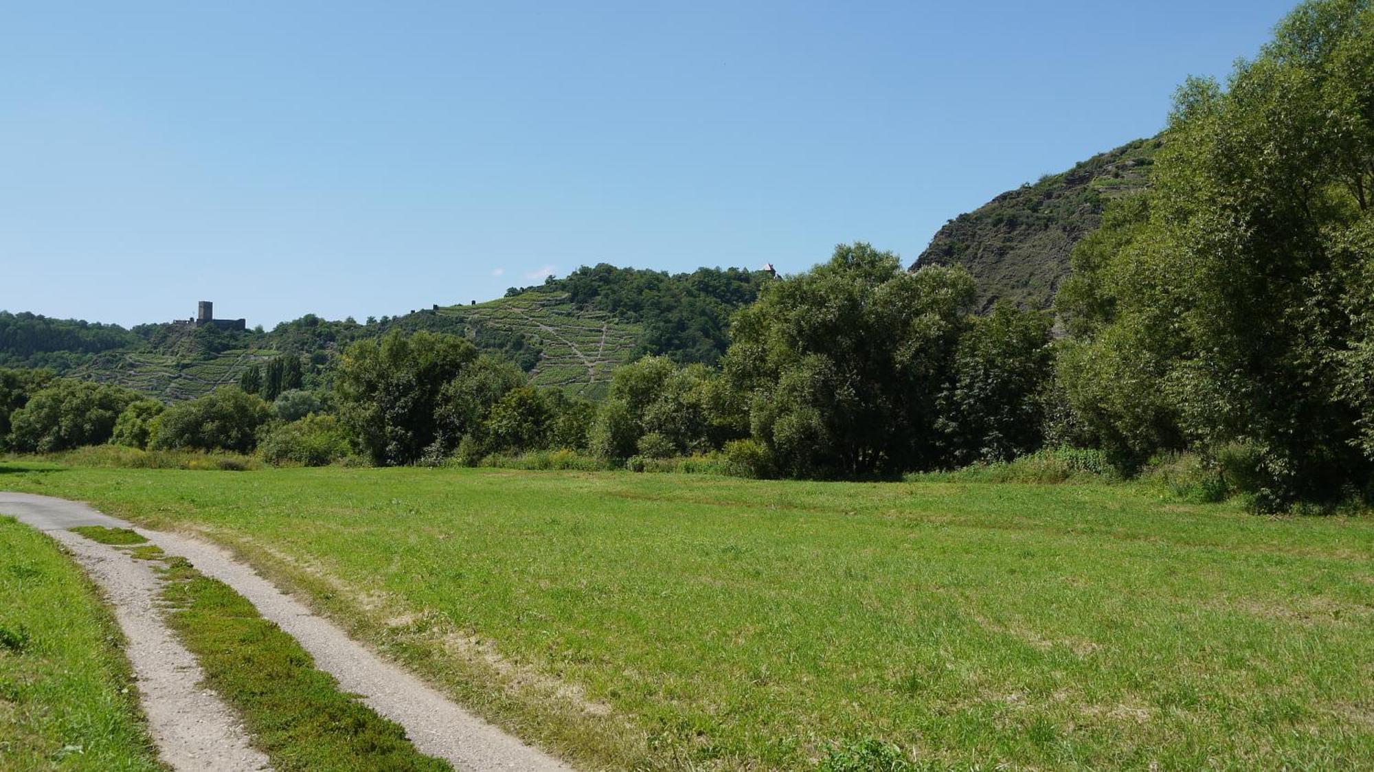 Hotel-Garni-Kachelburg Dieblich Exteriör bild