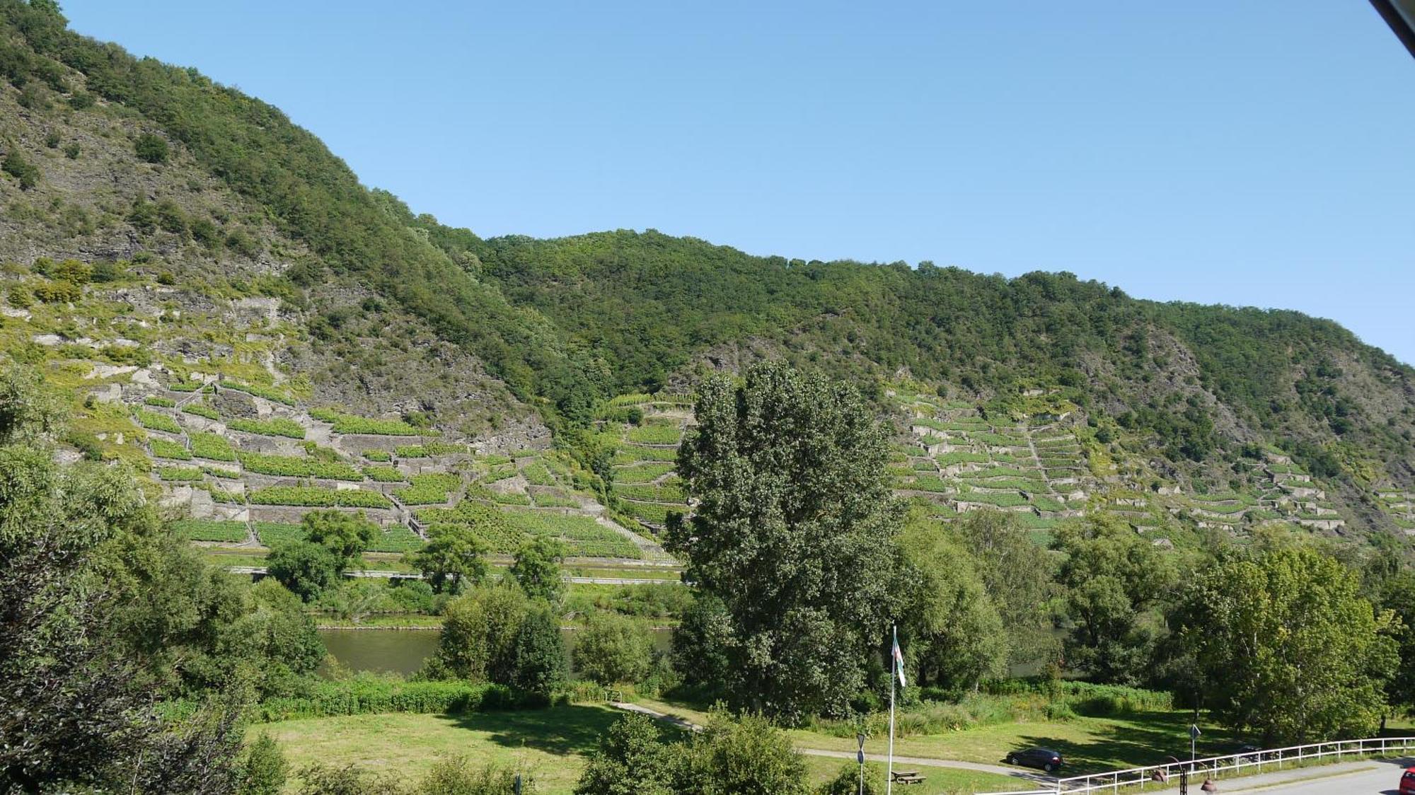 Hotel-Garni-Kachelburg Dieblich Exteriör bild