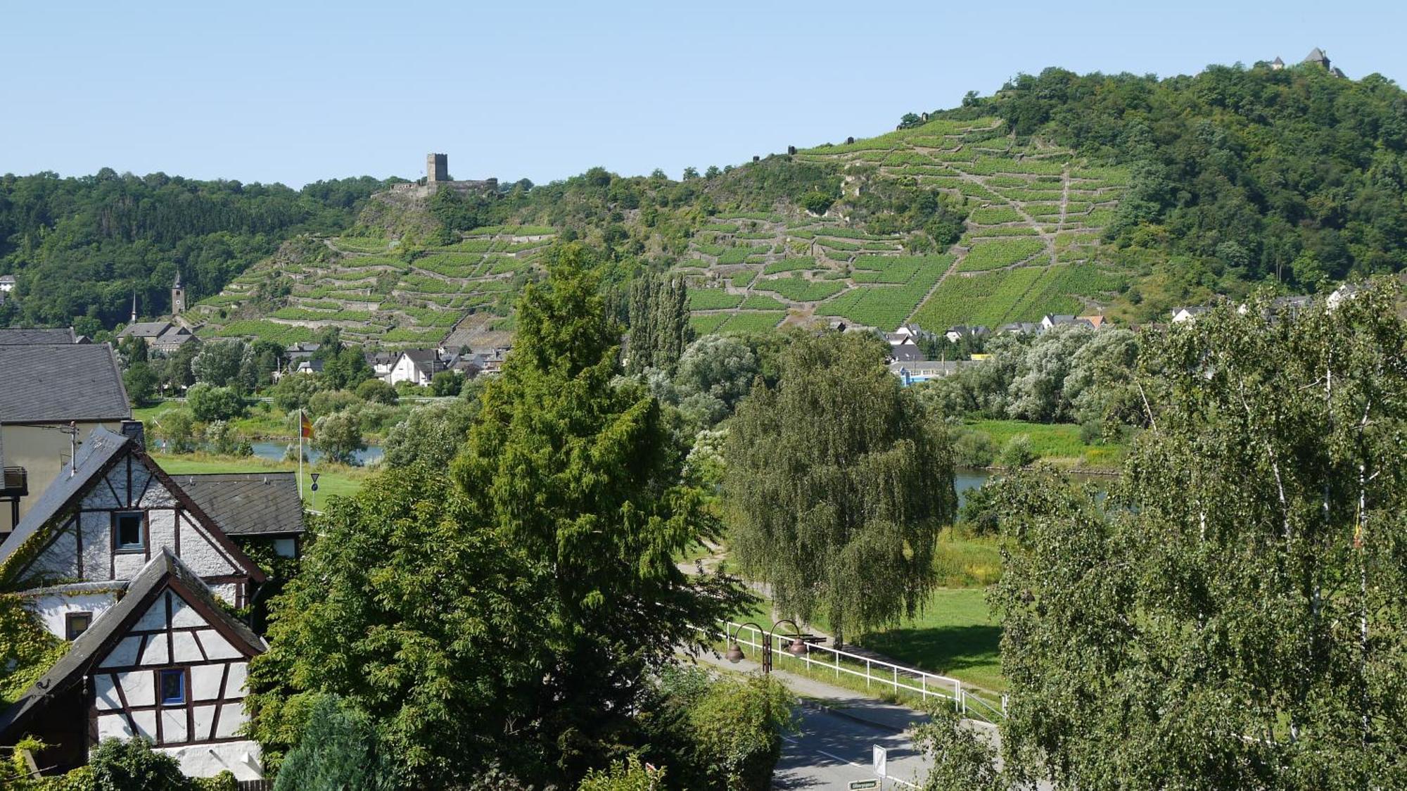 Hotel-Garni-Kachelburg Dieblich Exteriör bild